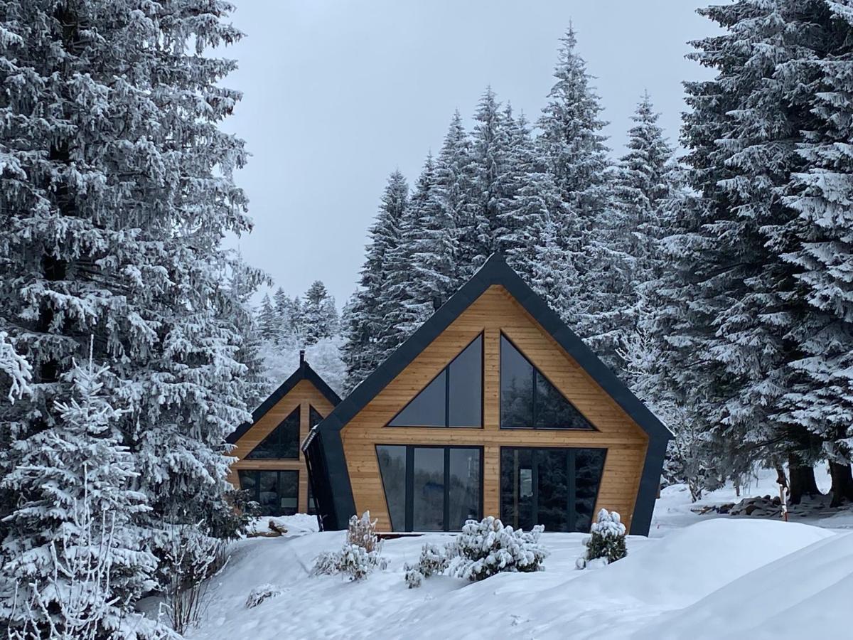 Chalet Belveder Horska Chata Železná Ruda Esterno foto