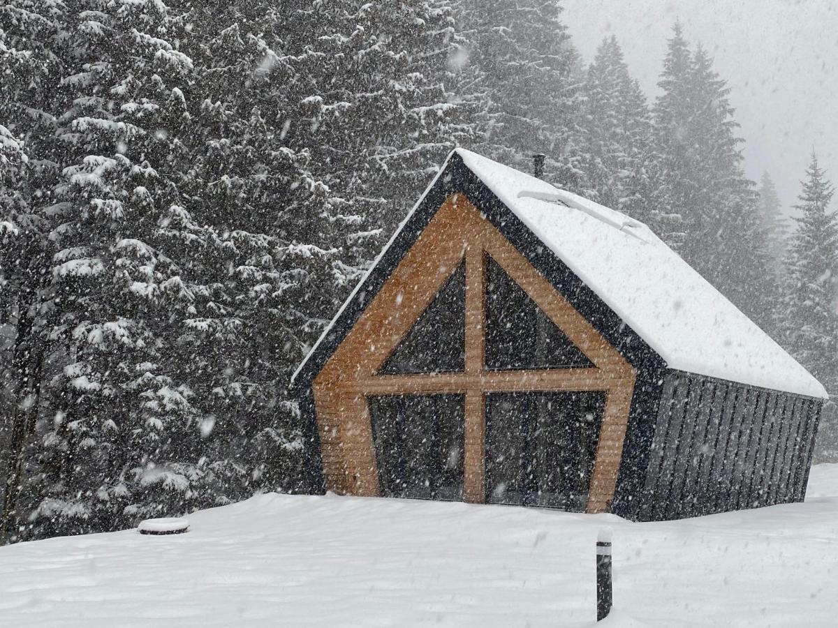 Chalet Belveder Horska Chata Železná Ruda Esterno foto