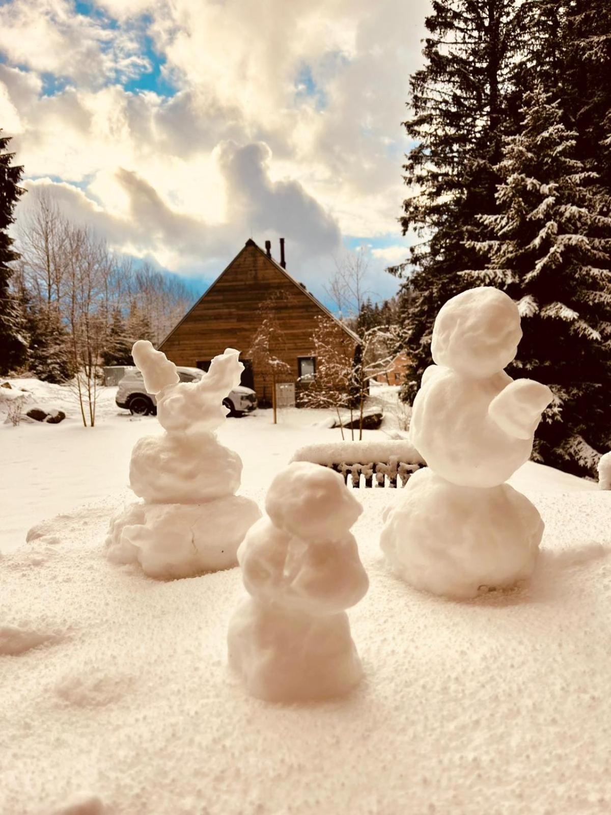 Chalet Belveder Horska Chata Železná Ruda Esterno foto