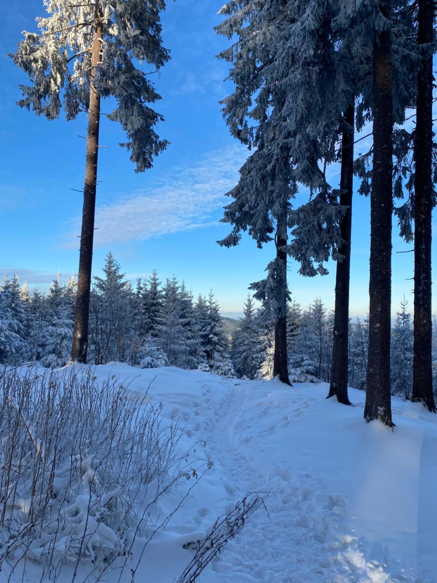 Chalet Belveder Horska Chata Železná Ruda Esterno foto